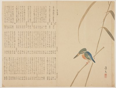 Kingfisher on Reed, c. 1818-1829 by John Thomas Barber Beaumont